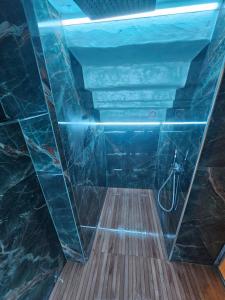 a bathroom with a shower with a glass ceiling at Florence Colonna Spa in Florence