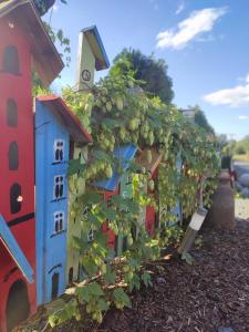 a garden with a house and a bunch of grapes at Ostoja Karkonoska in Podgórzyn +87 photos
