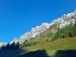 a view of a mountain range with trees in the foreground at Gasthaus Sonne in Urnerboden +3 photos