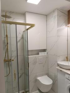 a bathroom with a shower and a toilet and a sink at Apartament Kaszmir 3 in Sławno +4 photos