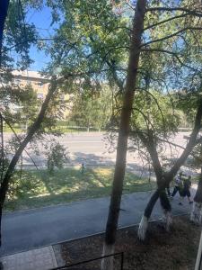 a group of people walking in a park with trees at Квартира у Асели in Karakol