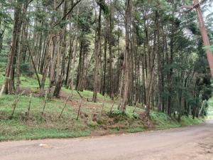 Gallery image of White House Resort cottage in Ooty