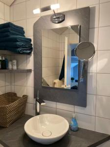 a bathroom with a sink and a mirror on a counter at Loft mit Kaminofen - Karlsdorf in Karlsdorf-Neuthard +10 photos