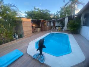a dolphin jumping out of a swimming pool at Pousada - Aconchego do Sol in João Pessoa