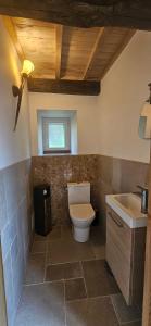 a bathroom with a toilet and a sink at Oustal de Piarelle in Saint-Jean-du-Bruel +11 photos