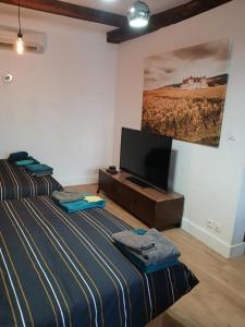 a bedroom with two beds and a flat screen tv at Le wine studio Gevrey-Chambertin in Gevrey-Chambertin
