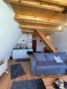 a living room with a couch and a kitchen at The Tara Concept in Šljivovica