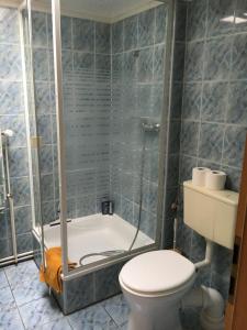a bathroom with a shower and a toilet and a tub at Ferienwohnung Wieck Greifswald in Wieck
