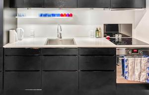 a kitchen with black cabinets and a sink at 1 Bedroom Nice Apartment In Helsingør in Helsingør