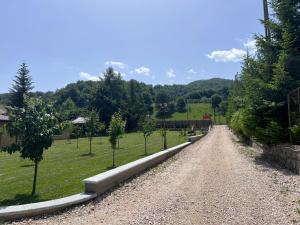 a gravel road with trees on the side of a field at Pensiunea Silvian in Cheia