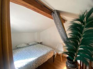 a bedroom with a bed and a potted plant at Cocon de l'écusson, 3 chambres avec clim in Nîmes