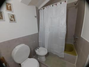 a bathroom with a white toilet and a shower at Flores del bosque in Ushuaia