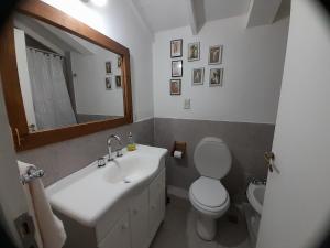 a bathroom with a sink and a toilet and a mirror at Flores del bosque in Ushuaia
