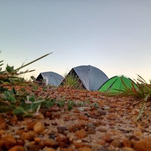 three tents on the ground in a field at EcoCamping da Wandinha in Cabo de Santo Agostinho