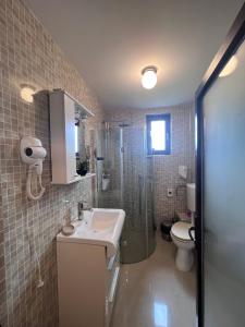 a bathroom with a sink and a shower and a toilet at Pensiunea Silvian in Cheia +40 photos
