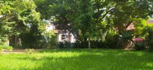 a yard with green grass and trees and a house at propriete in Antsirabe