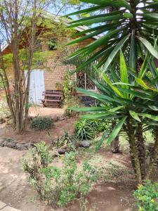 a garden with a large palm tree next to a building at propriete in Antsirabe