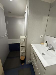 a small bathroom with a sink and a shower at 2 chambres avec mezzanine in Le Lioran