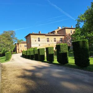 a row of hedges in front of a building at Château de Savignac-Mona in Savignac-Mona