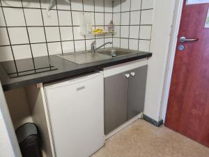 a small kitchen with a sink and a counter at Studio au pied des pistes + Cellier in La Mongie +8 photos