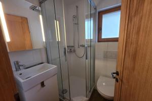 a bathroom with a shower and a sink and a toilet at Roxes 6, duplex cosy et lumineux à proximité de Médran in Verbier