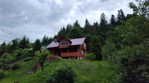 a wooden house on a hill in a forest at Cabana Iraclie in Voronet
