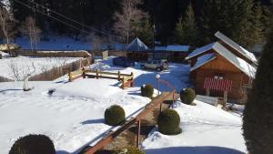 a snow covered yard with a building and a house at Cabana Iraclie in Voronet