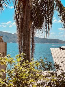 a palm tree sitting next to a body of water at Vista Mar Praia da Lagoinha - Residencial Pé na Areia in Bombinhas