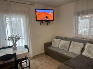 a living room with a couch and a tv on the wall at Apartments Barbra - Robinson life in Slovenj Gradec