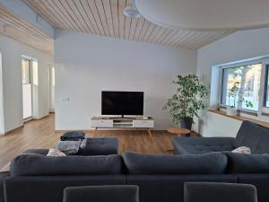 a living room with two blue couches and a tv at Puhkemaja Pühajärvel in Otepää