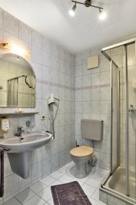 a bathroom with a sink and a toilet and a shower at Das Arber-Hotel am Rothbach in Bodenmais +30 photos