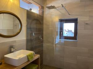 a bathroom with a sink and a mirror and a shower at Sonnberg Apartment in Niedernsill