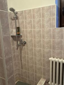 a shower with a shower head on a tiled wall at Privat u Frey in Nová Lesná
