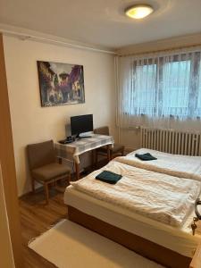 a bedroom with a bed and a desk with a computer at Privat u Frey in Nová Lesná