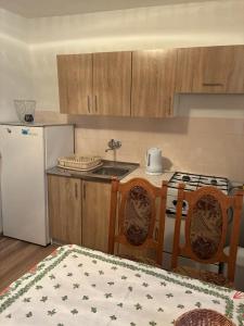 a kitchen with a white refrigerator and a table and chairs at Privat u Frey in Nová Lesná