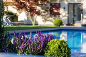 a pool with purple flowers in front of a house at Hotel Untermelz in Plaus