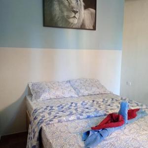 a bed in a bedroom with a cat on the wall at Recanto Antônio Costa in Paraty
