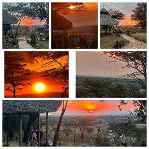 a collage of four pictures of a sunset at Mara Sunset Acacia Camp in Sekenani +5 photos