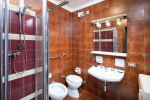 a bathroom with a toilet and a sink and a shower at Bormio's Balcony - At the Spa in Premadio +5 photos