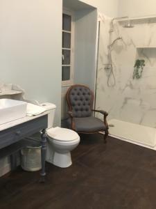 a bathroom with a toilet and a shower and a chair at Château des Fouilloux in Agris +21 photos