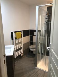 a bathroom with a toilet and a glass shower at La Vie de Château , Or du Temps in Ars-sur-Formans +15 photos