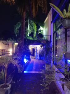 a courtyard at night with palm trees and lights at Ibis in Udawalawe