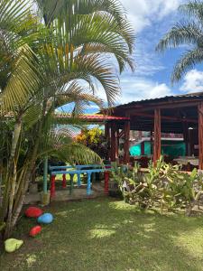 a palm tree in front of a building with a bench at Rancho Akila in Filandia