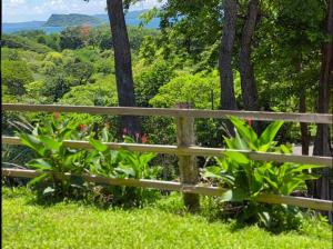 a wooden fence in the grass with a view at Papaturro House in La Cruz