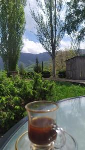 a cup of tea on a glass table with a view at Saro B&B in Tatev in Tandzatapʼ +1 photo