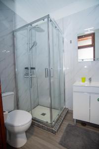 a bathroom with a shower and a toilet and a sink at Apartment II Estrela da Calheta in Calheta