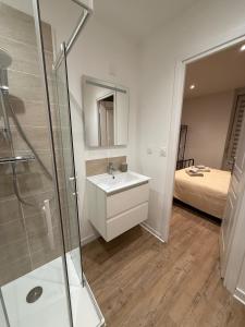 a bathroom with a sink and a shower and a bed at Studio moderne tout confort in Vierzon