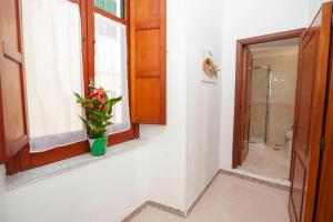 a bathroom with a window and a vase with a plant at Amalfi mia - city center in Amalfi +21 photos