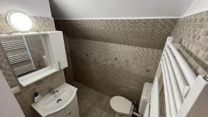 a small bathroom with a sink and a toilet at My Central Home in Miercurea-Ciuc +22 photos