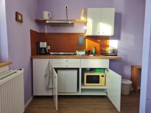 a small kitchen with a sink and a microwave at Die große Wohnung in Droyßig